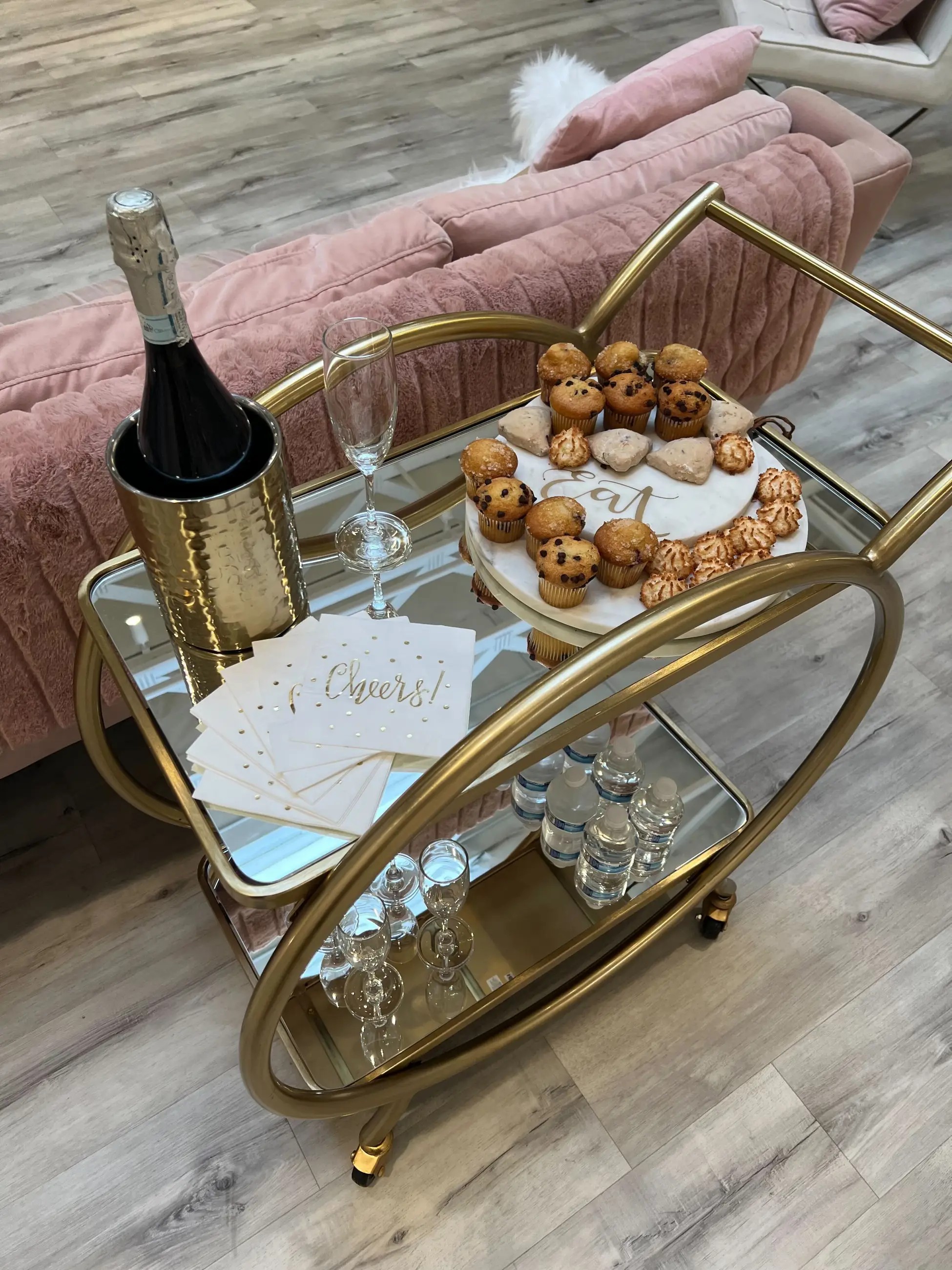 Rolling Out the Red Carpet: The Ultimate Guide to VIP Bridal Appointments Image