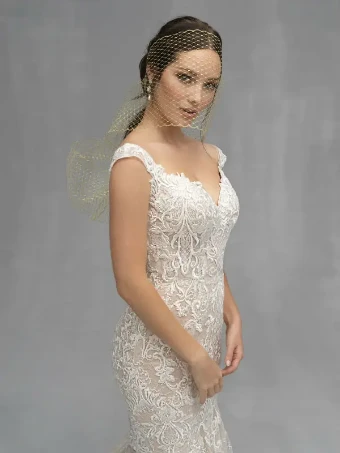 Allure Couture Style #C529 #2 Antique/Champagne/Ivory thumbnail